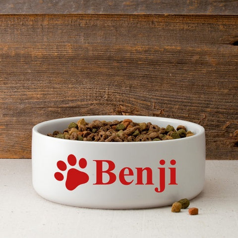 Colorful Classic Large Dog Bowls - Happy Bars