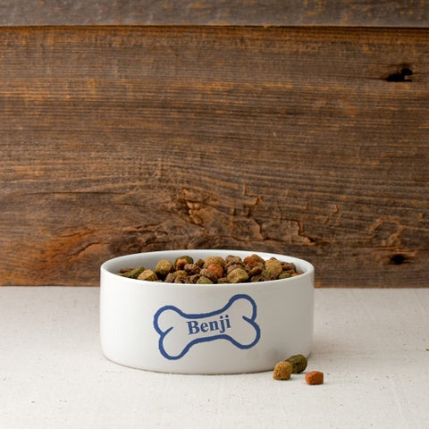 Colorful Classic Small Dog Bowls - Bright Treats