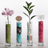 Printed Bud Vase (Pack of 24 )