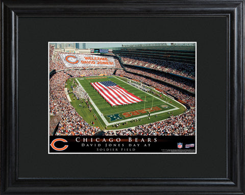 NFL Stadium Print - Bears