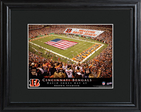 NFL Stadium Print - Bengals