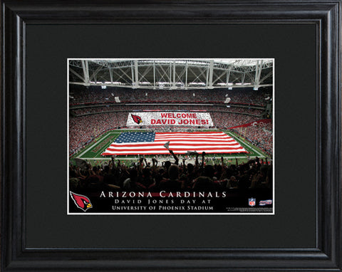 NFL Stadium Print - Cardinals