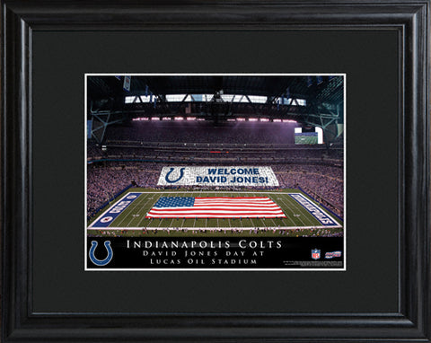 NFL Stadium Print - Colts