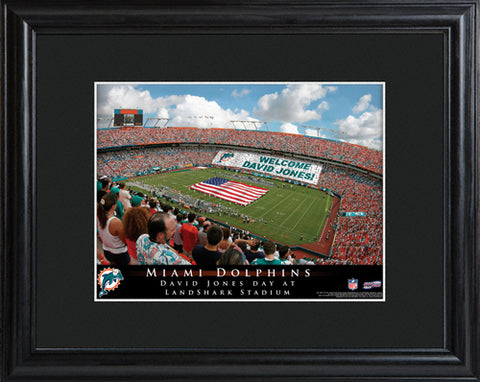 NFL Stadium Print - Dolphins