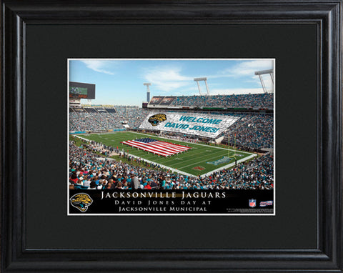 NFL Stadium Print - Jaguars