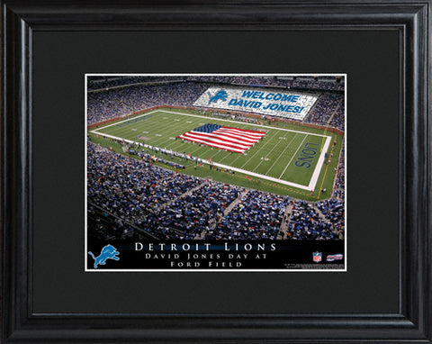 NFL Stadium Print - Lions