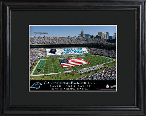 NFL Stadium Print - Panthers