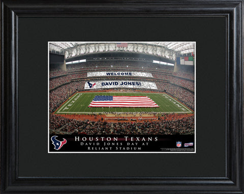 NFL Stadium Print - Texans