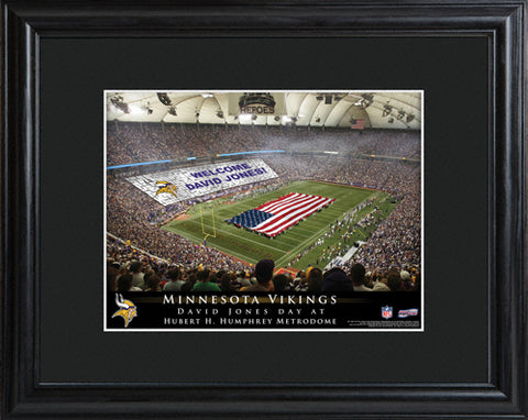 NFL Stadium Print - Vikings