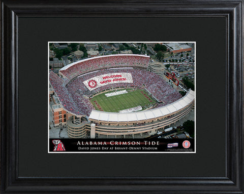 College Stadium Print with Wood Frame - Alabama