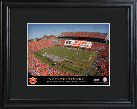 College Stadium Print with Wood Frame - Auburn