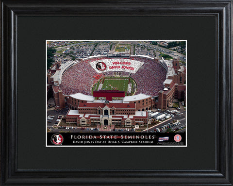 College Stadium Print with Wood Frame - Florida State