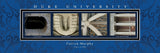 College Campus Art - Duke