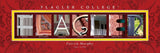 College Campus Art - Flagler