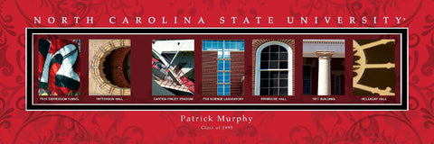 College Campus Art - North Carolina