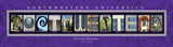 College Campus Art - Northwestern