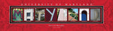 College Campus Art - Maryland