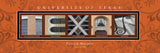 College Campus Art - Texa